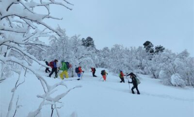 Neu, allaus i seguretat a la muntanya hivernal - Nivell 1 - EDNA