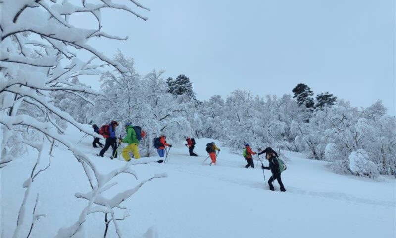 Neu, allaus i seguretat a la muntanya hivernal - Nivell 1 - EDNA